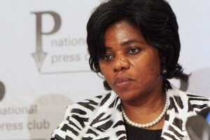 Pule investigation almost complete - public protector