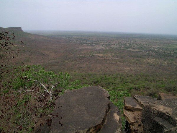 Ghanaian farmers study reforestation tech