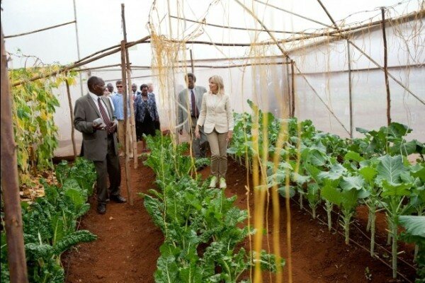 Agriculture officers in Kenya to get laptops