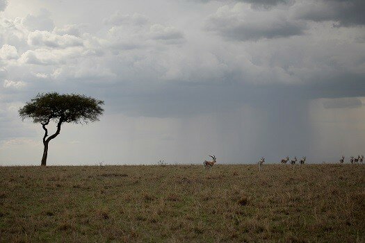 Kenya’s rainy season affects Safaricom’s backhaul