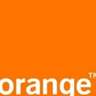 Orange, Total partners for money access