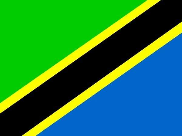 Tanzania launches e-system for residence permits