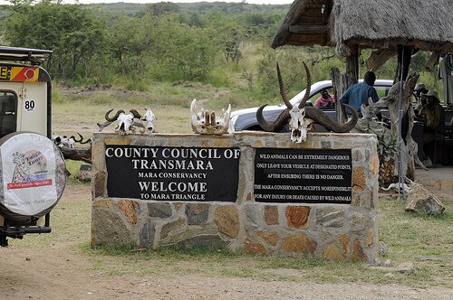 Masai Mara National Reserve terminates e-ticketing system