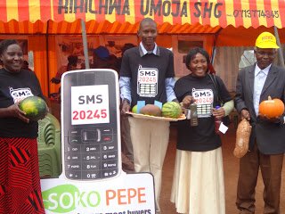 NGO launches SMS price service for kenyan farmers