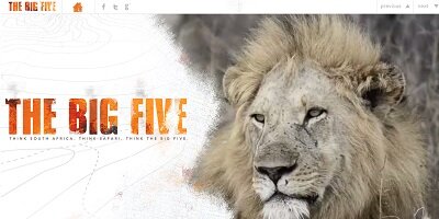 Flow Communications launches cutting-edge Big Five website