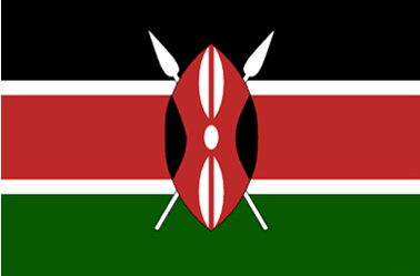 Kenya’s National Treasury launches e-procurement