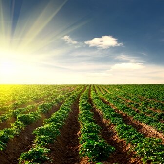 Technology answer to SA agricultural challenges – FFP