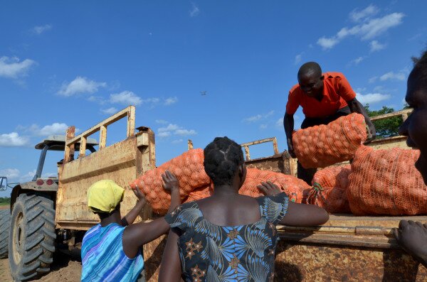 Nigeria’s Osun state distributes debit cards to farmers