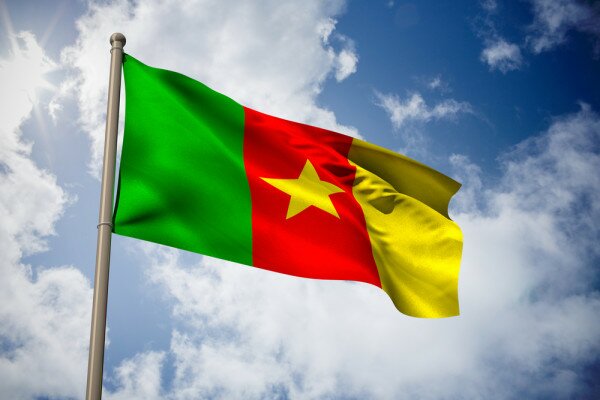 Extension of Viettel 3G monopoly will hold Cameroon back – analyst